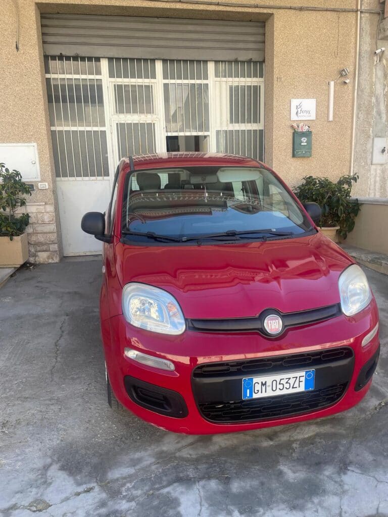 Fiat Panda 0.9 TwinAir - 2013 usata in vendita da AutoFenix
