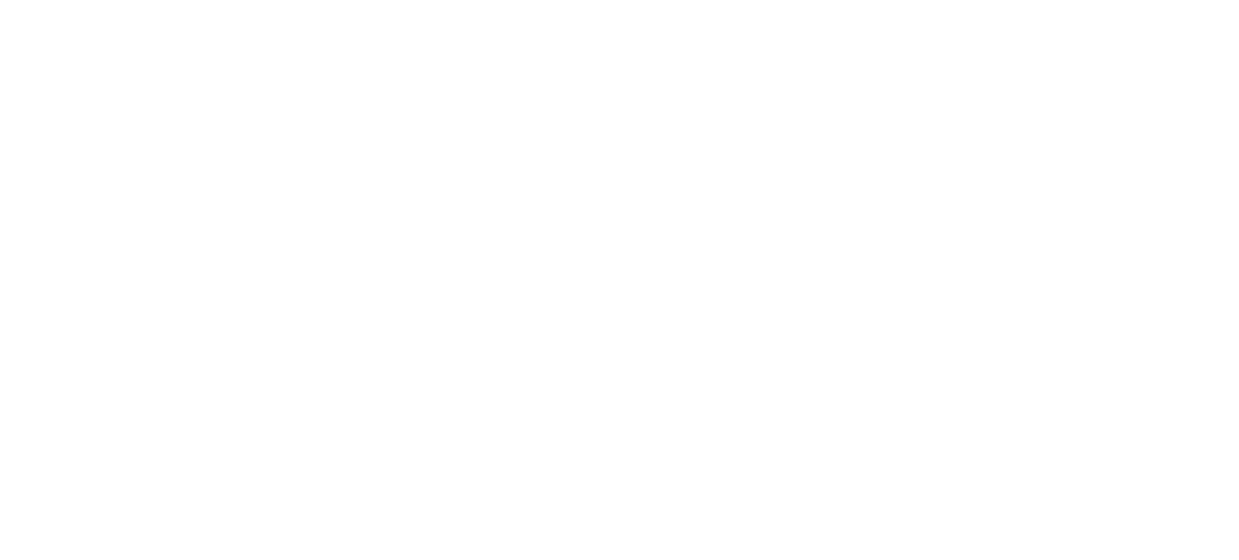 AutoFenix